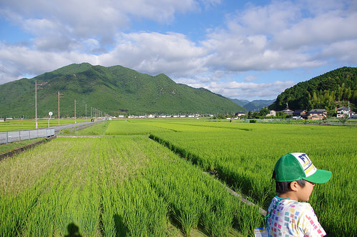 田植え・育苗箱の運搬に便利な苗コンテナのご紹介