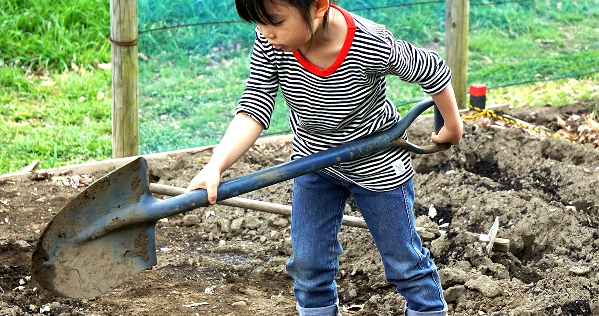 畑の排水対策に使える【家庭菜園／小規模畑向け】スコップ（シャベル