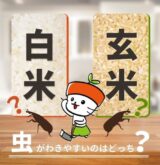 玄米と白米・520_520