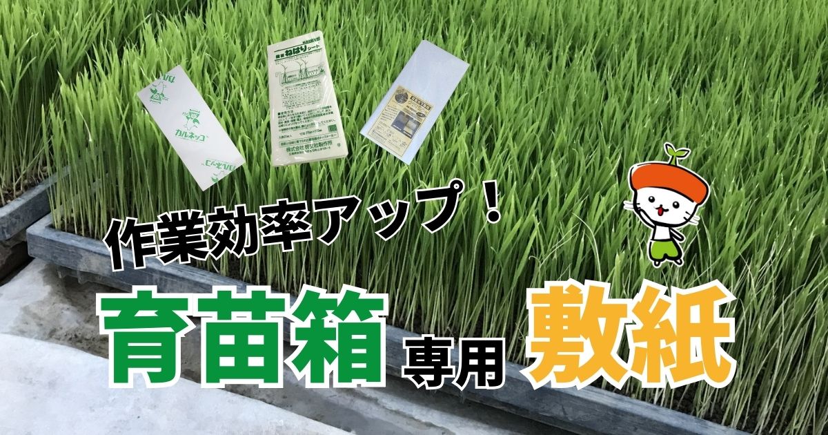 田植え作業の効率アップ！育苗箱を使用した苗づくりにおすすめの敷紙をご紹介｜わいずニャン情報局｜農業用品販売のプラスワイズ本店