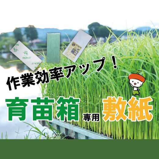 田植え作業の効率アップ！育苗箱を使用した苗づくりにおすすめの敷紙をご紹介