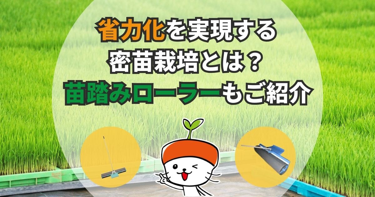 省力化を実現する密苗栽培とは？丈夫な苗づくりに役立つ苗踏みローラーも紹介｜わいずニャン情報局｜農業用品販売のプラスワイズ本店