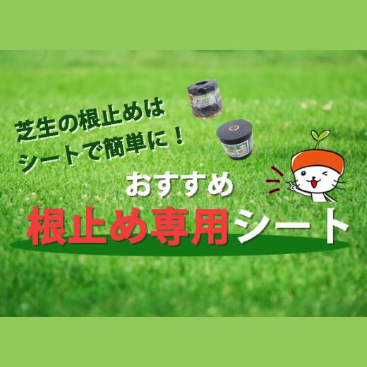 芝生の根止めはシートで簡単に！おすすめ根止め専用シートを紹介