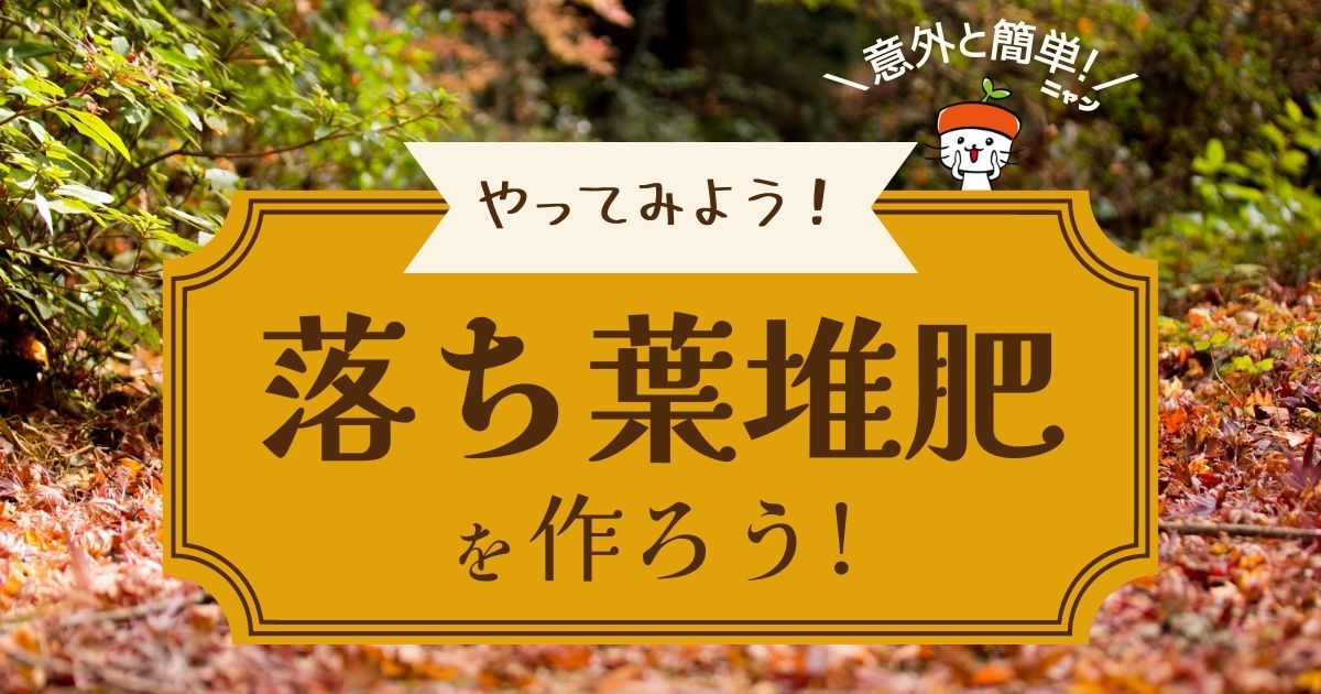 意外と簡単！家庭菜園で落ち葉堆肥を作ろう！｜いらない落ち葉でふかふかの土に | 農業用品販売のプラスワイズ本店