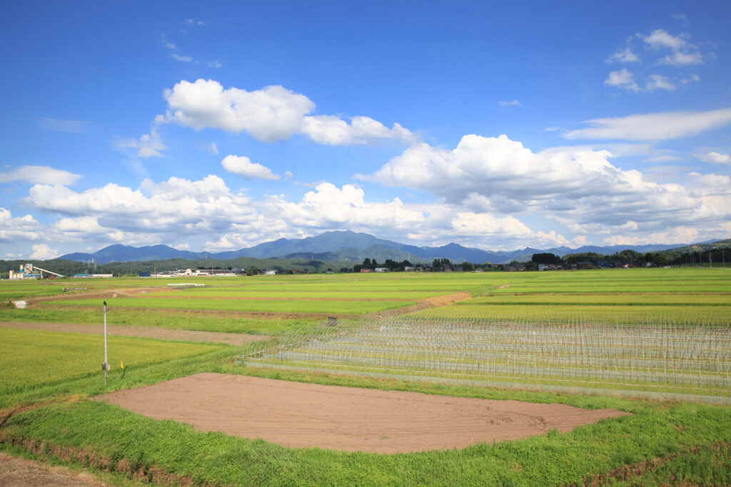 下田の風景