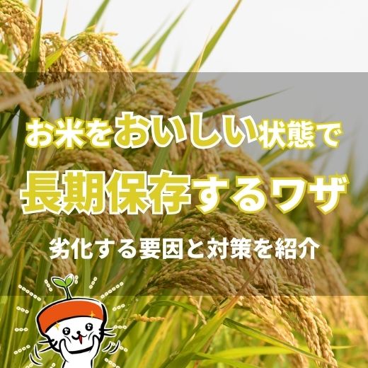 お米をおいしい状態で長期保存するには？劣化する要因と対策を紹介