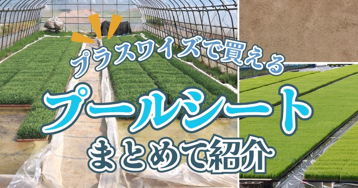 育苗の負担軽減で効率的に！プール育苗シートの選び方とおすすめ商品 | 農業用品販売のプラスワイズ本店