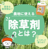 アートボード 250_1-80