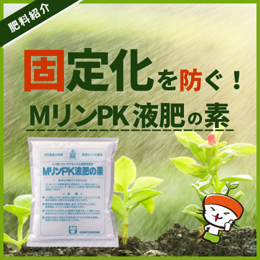 【肥料紹介】固定化を防ぐ「MリンPK 液肥の素」とは！