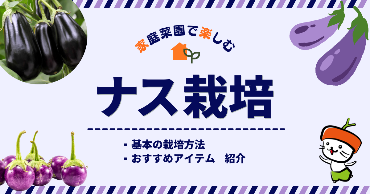 ナス栽培の基本とおすすめアイテム！家庭菜園でおいしいナスを収穫