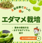 枝豆 (1)