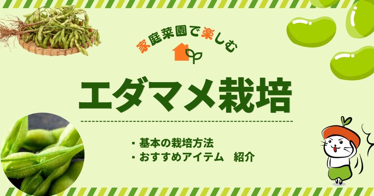 枝豆を楽しく栽培！育て方とおすすめアイテムご紹介！家庭菜園初心者にも｜農家さん・家庭菜園のお悩み解決！わいずニャン情報局｜農業用品販売のプラスワイズ本店