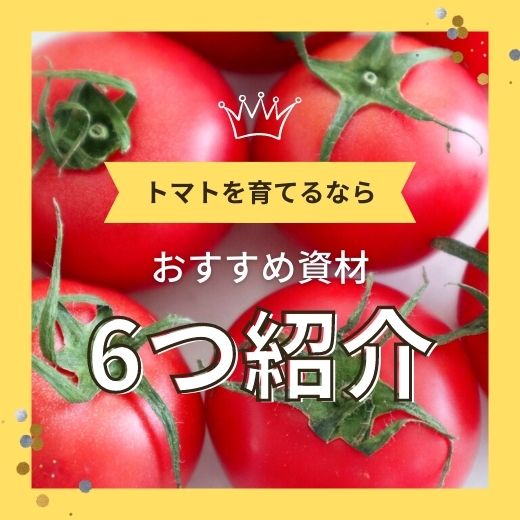 トマト栽培を楽しもう！選ばれている肥料や便利グッズなどの紹介