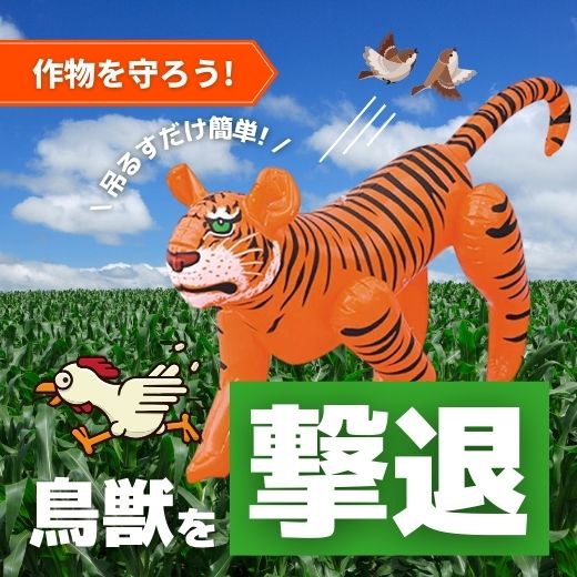 吊るすだけ!風船かかしで簡単に防獣対策!カラスやスズメ等から収穫物を守る