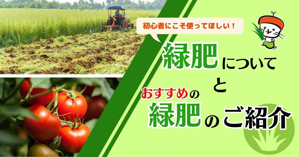 初心者にこそ使ってほしい!!緑肥についてとおすすめの緑肥のご紹介｜わいずニャン情報局｜農業用品販売のプラスワイズ本店