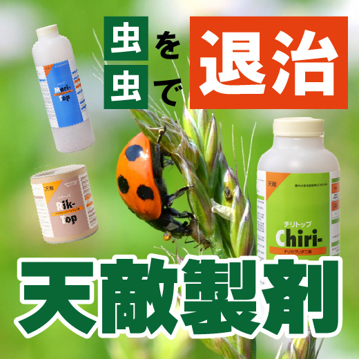 虫で虫を退治できる！無農薬や減薬におすすめの天敵製剤をご紹介