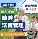 アートボード 34_6-80