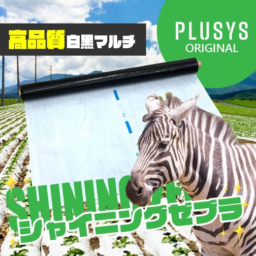 雑草抑制と地温抑制に効果が高い！白黒マルチシャイニングゼブラ