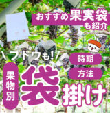 袋掛け