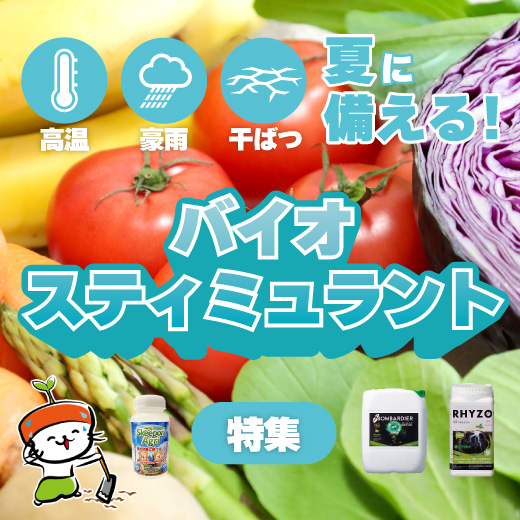 バイオスティミュラントで夏に備える!環境ストレス別おすすめ製品一覧付き