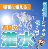 アートボード 24-80