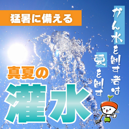 猛暑を乗り切るカギは灌水！効果的な方法とおすすめ資材まとめました